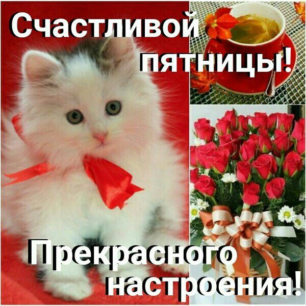 Открытки с добрым утром и хорошего дня с пятницей, надписью