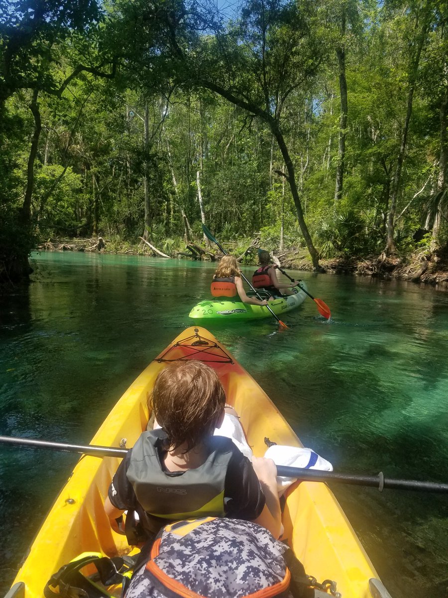 ManginMrs's tweet photo. Weeki-watchin' for some manatees...saw several, but too chicken to swim with them. The river was SO CLEAR and we saw so much wildlife! https://t.co/Wcqpp6js2x