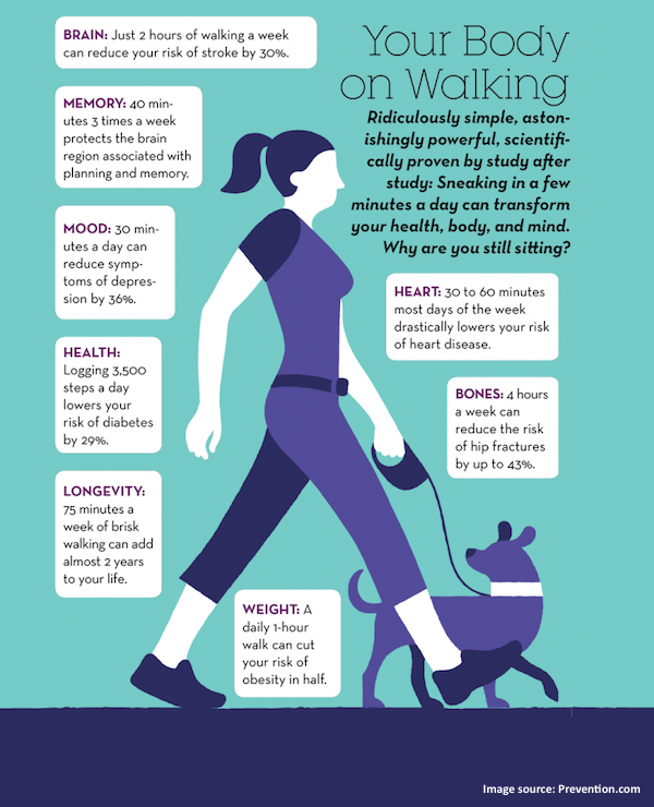 ArthritisNetwrk's tweet photo. Did you know that 4 hours of walking a week can reduce the risk of hip fractures by up to 43%? Learn more about the benefits of walking on the #Walk10Blocks website: https://t.co/OVaUyOHdJ7 @LLi_1 @TerezHumphrey @shanonmc @CarpAdvocacy @ArthritisSoc @HealthyCdns @SPONDYLITISCA https://t.co/uTPlmNyqwv