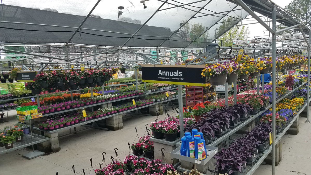 ddavis_m's tweet photo. Lookin’ good down South! @JustinReedTHD @misshd03 @freddyplants @GriffinAgriffin @Stephen_E_Camp @MetrolinaGHS @PNewtonPlants @PPSinHD #flowerwoodnurseries #relaxitsrio @CostaFarms https://t.co/k0ITCoMMHl