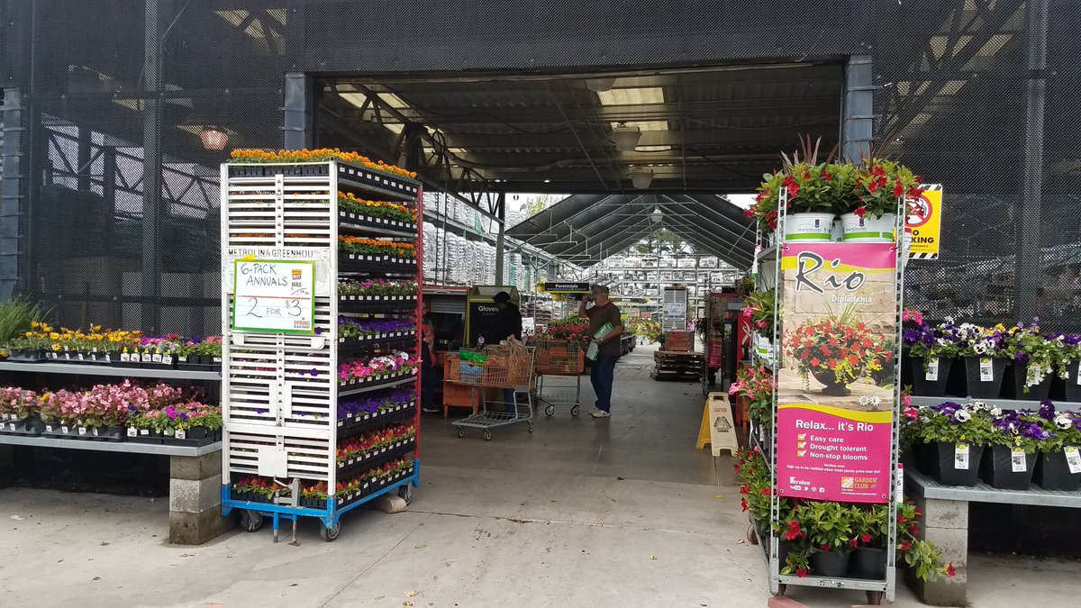 ddavis_m's tweet photo. Lookin’ good down South! @JustinReedTHD @misshd03 @freddyplants @GriffinAgriffin @Stephen_E_Camp @MetrolinaGHS @PNewtonPlants @PPSinHD #flowerwoodnurseries #relaxitsrio @CostaFarms https://t.co/k0ITCoMMHl