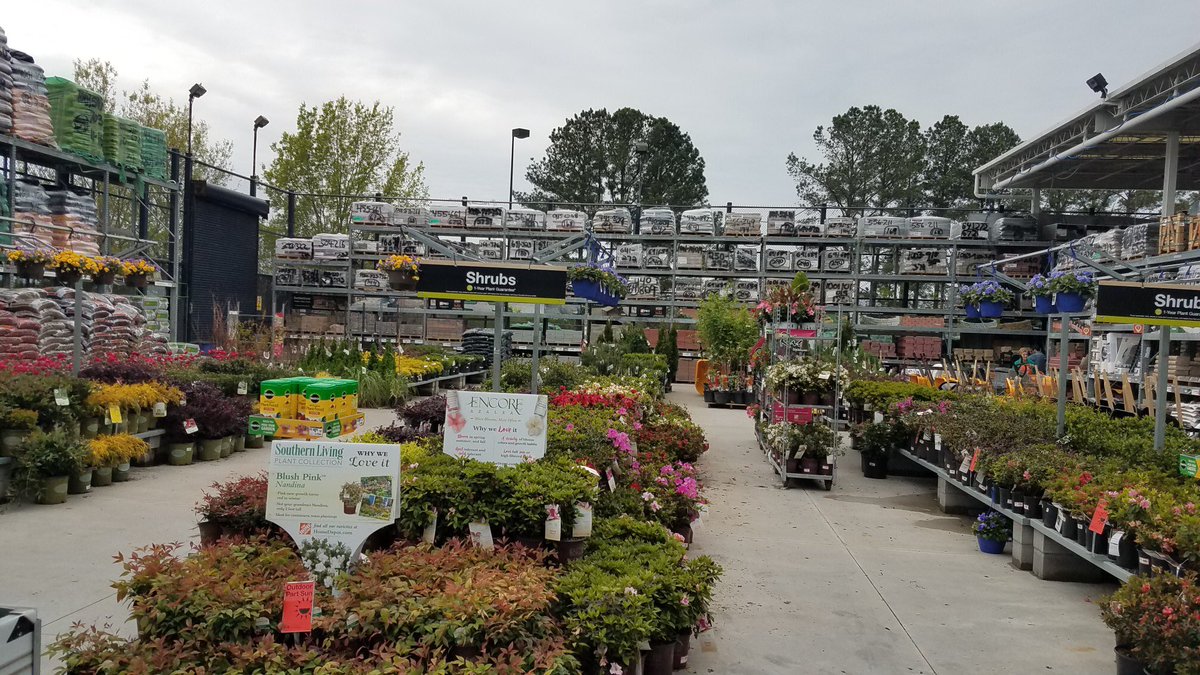 ddavis_m's tweet photo. Lookin’ good down South! @JustinReedTHD @misshd03 @freddyplants @GriffinAgriffin @Stephen_E_Camp @MetrolinaGHS @PNewtonPlants @PPSinHD #flowerwoodnurseries #relaxitsrio @CostaFarms https://t.co/k0ITCoMMHl