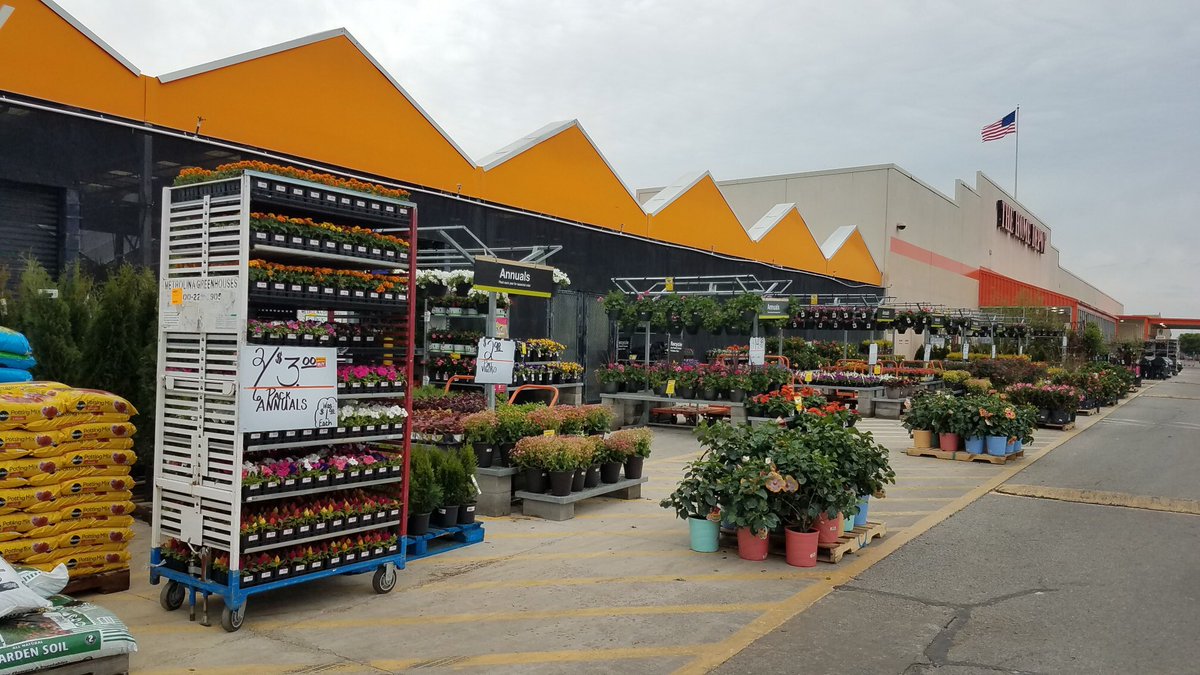 ddavis_m's tweet photo. Lookin’ good down South! @JustinReedTHD @misshd03 @freddyplants @GriffinAgriffin @Stephen_E_Camp @MetrolinaGHS @PNewtonPlants @PPSinHD #flowerwoodnurseries #relaxitsrio @CostaFarms https://t.co/k0ITCoMMHl