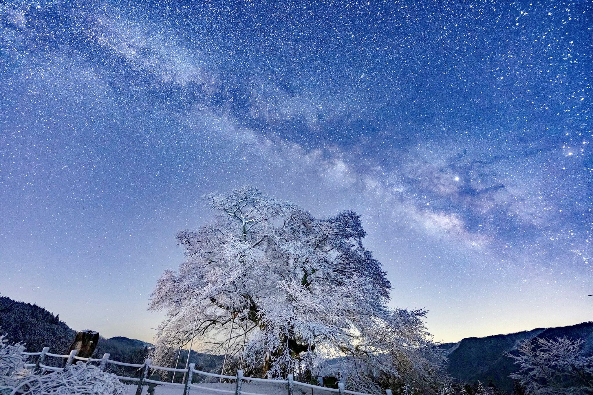 柄木孝志 Takashi Karaki 実は 雪桜のこの日 星空とのコラボも最高だった 積もった雪の白が 星明かりで浮かびあがり普通では観れないシーンを 悠久の夜空と千年の命 時のロマンを感じます 醍醐桜 岡山へ行こう はなまっぷ桜19 T Co