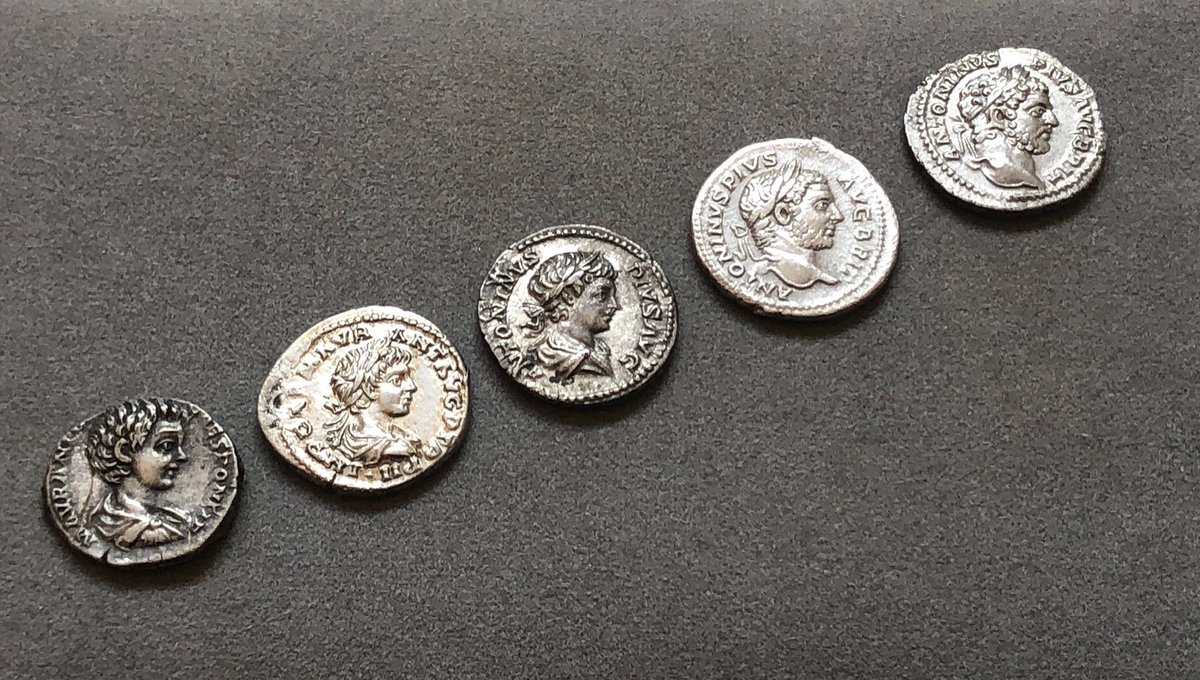 AreteCoins's tweet photo. #Denarii portrait timeline of birthday boy #Caracalla, born on this day in 188 AD. #Numismatics #Denarius #RomanCoins #AncientCoins #SeveranDynasty #RomanImperialCoins #RomanEmpire #RomanEmperor #AncientNumismatics https://t.co/ASldKhsrzh
