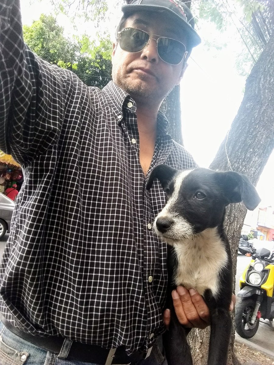 Perrosenlacalle's tweet photo. No podía irme a casa dejándola ahí tan cachorrita en la calle. A pesar de todos mis problemas, no debía sabiendo las consecuencias que puede sufrir. Andaba merodeando un puesto de tacos seguramente con hambre. Ya la traje a mi refugio y le voy a cambiar la vida y rehabiltar https://t.co/nyjktokOKc