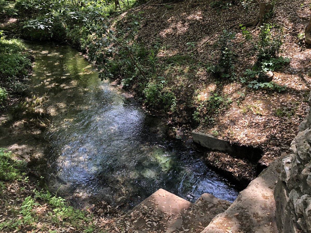 Lysoll_18's tweet photo. Enjoying our learning experience exploring the Headwaters at Incarnate Word with Alamo Science Leaders @ESCRegion20 @STEMempowers @AWWilson74 #ESC20Science https://t.co/db0awX904T