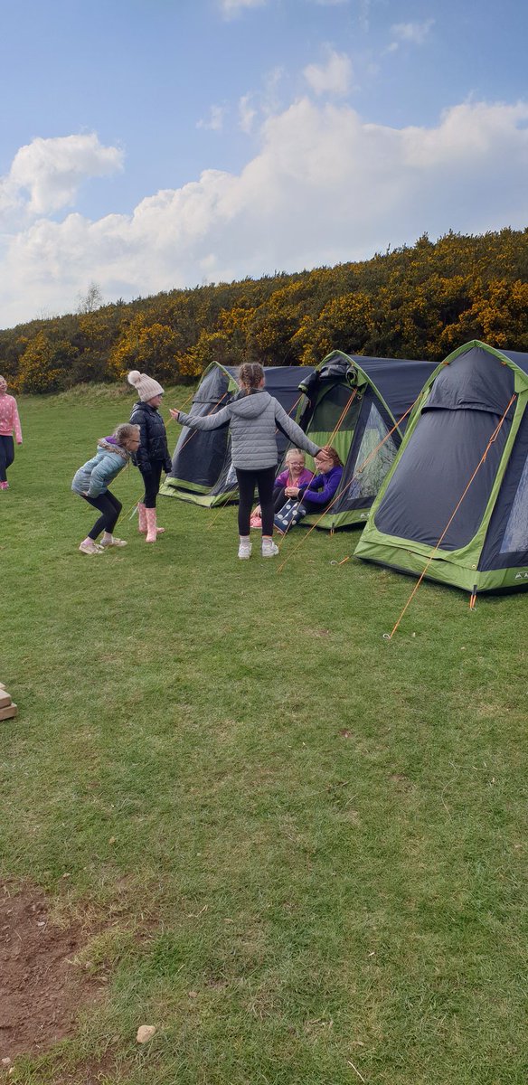 West View ProjectCIC tweet media