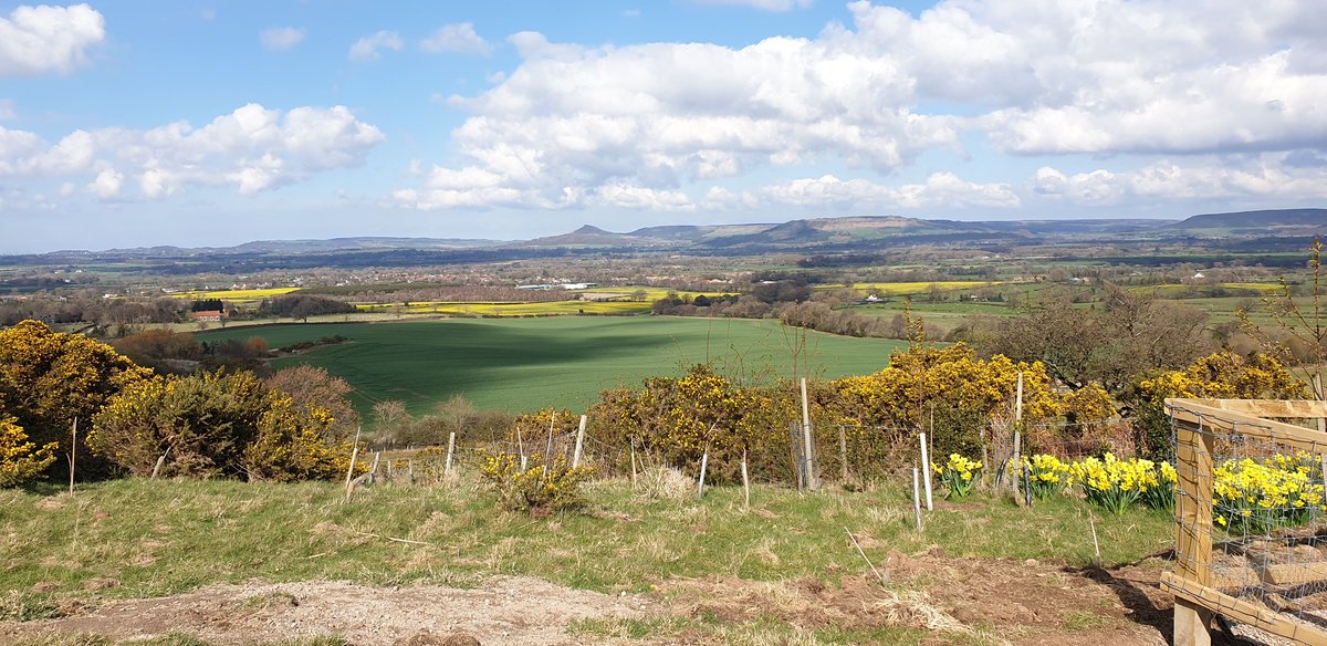 West View ProjectCIC tweet media