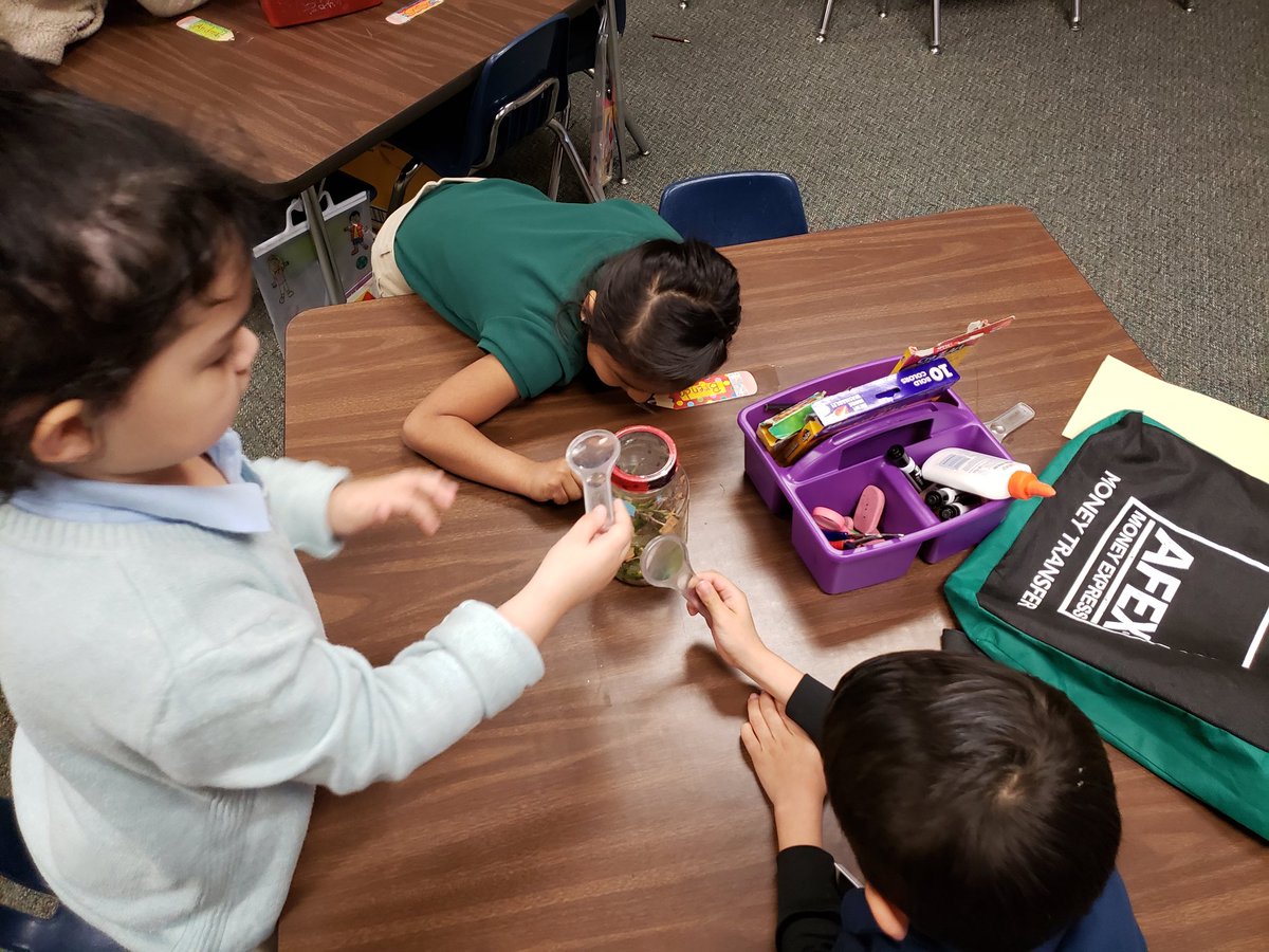 Amrivasteach's tweet photo. Observing the ladybugs in the hábitat the students created. They were amazed by discovering body parts and behaviors, grouping, previously studied. @Martin_Mustangs @AliefScience https://t.co/PrpfuX1OYv
