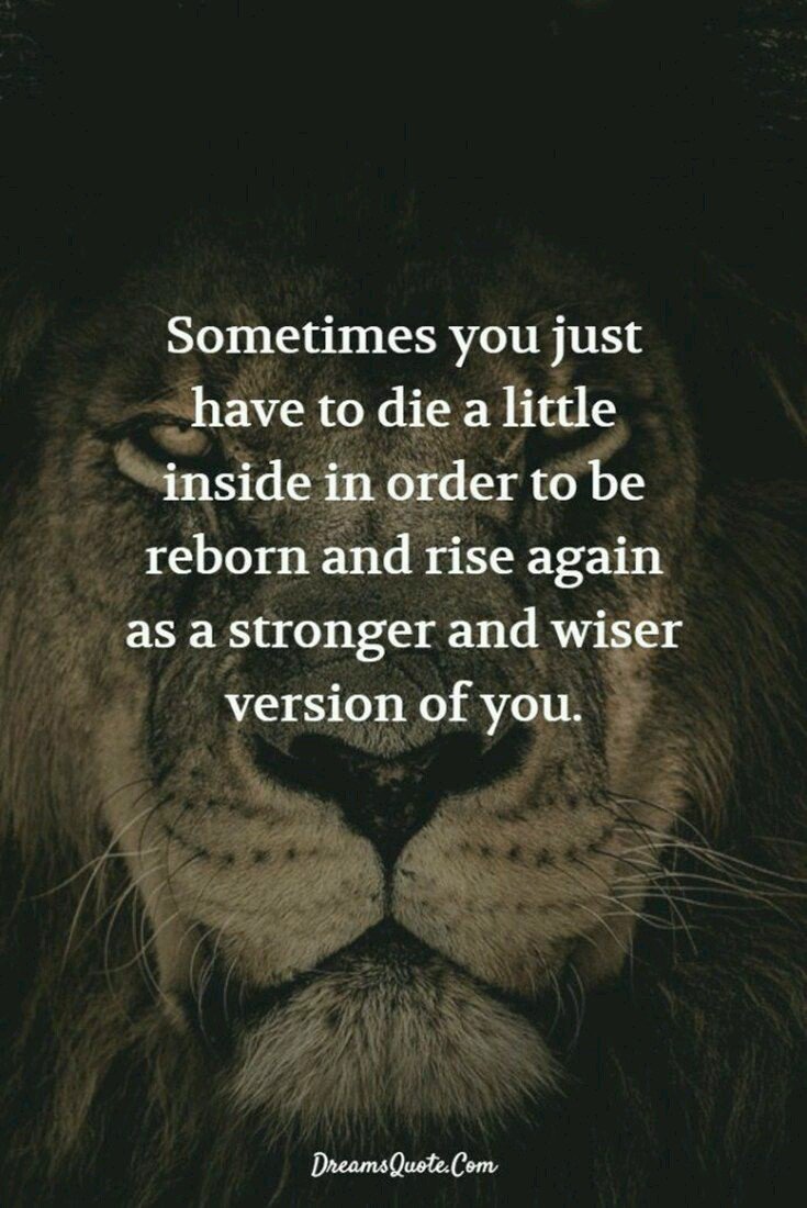 the_rede's tweet photo. Resurrection.  New Moon, new beginnings. 🙌🙌🙌🙌 https://t.co/LAoEcfk91Z