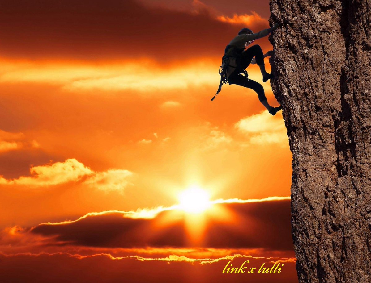 Link X Tutti Linktutti Twitter