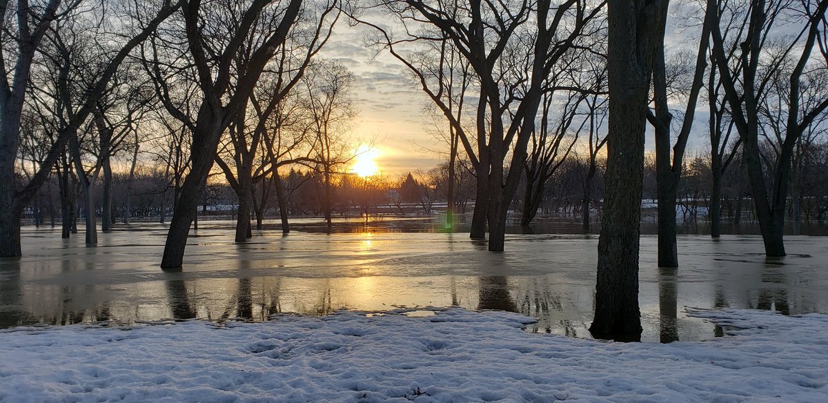 jmathern730's tweet photo. A beautiful dawn breaks over a riverside scene. What excitement hides below the icy glass mirror? Oak Grove Park of course. There will be disc golfers there in no time.  #FargoParks #Flood2019 #discgolf https://t.co/WtuiWDn5gF
