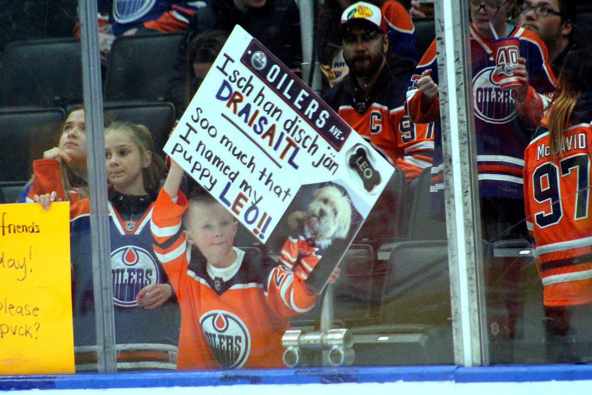 edmonton oilers dog jersey