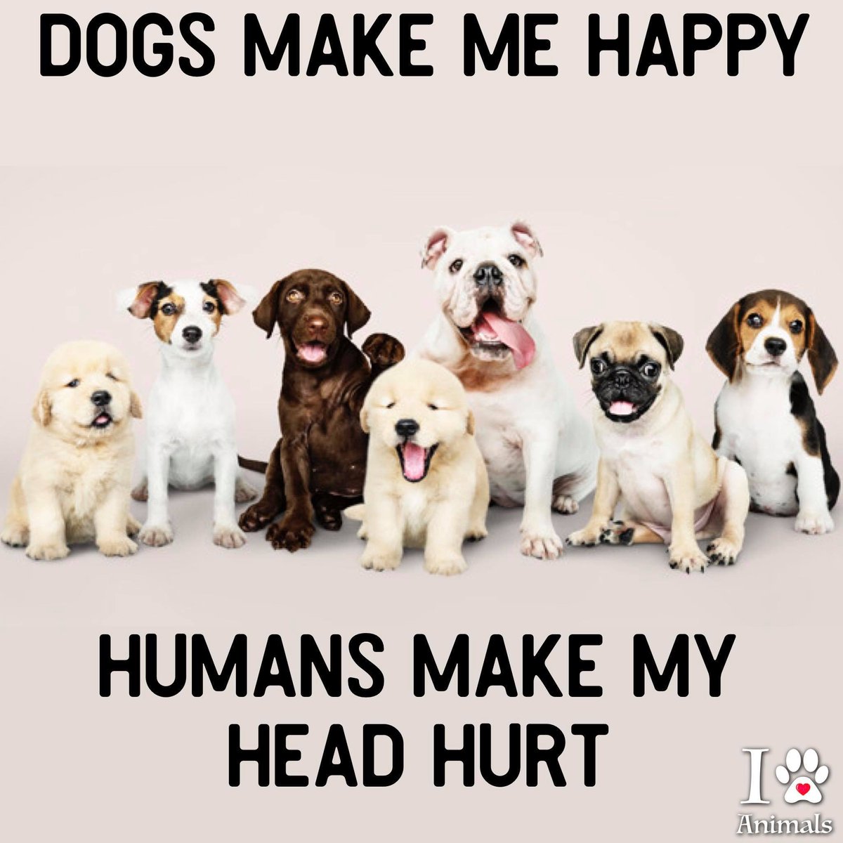 LisaG_325's tweet image. Especially when I log into Twitter!
#NotFunAnymore
#Trash
#tooPolitical