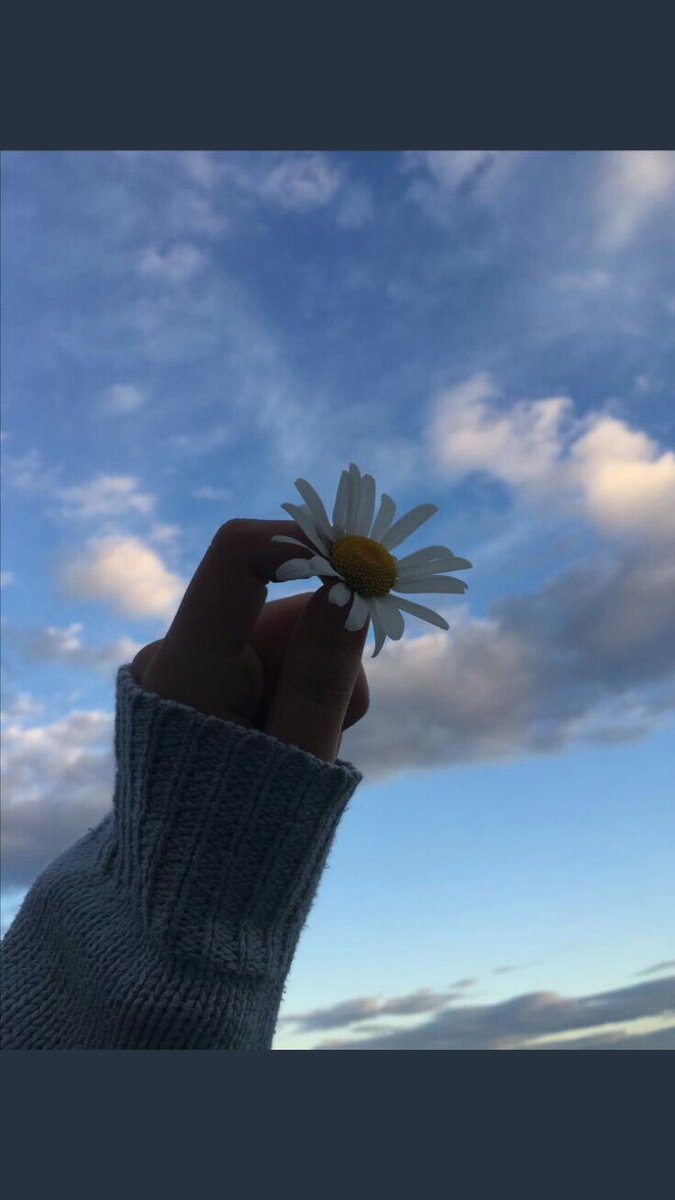 #يوم_الجمعه

لأحلامَنا البعيدة ، اللهُمّ لذّة الوصُول ❤️✨.