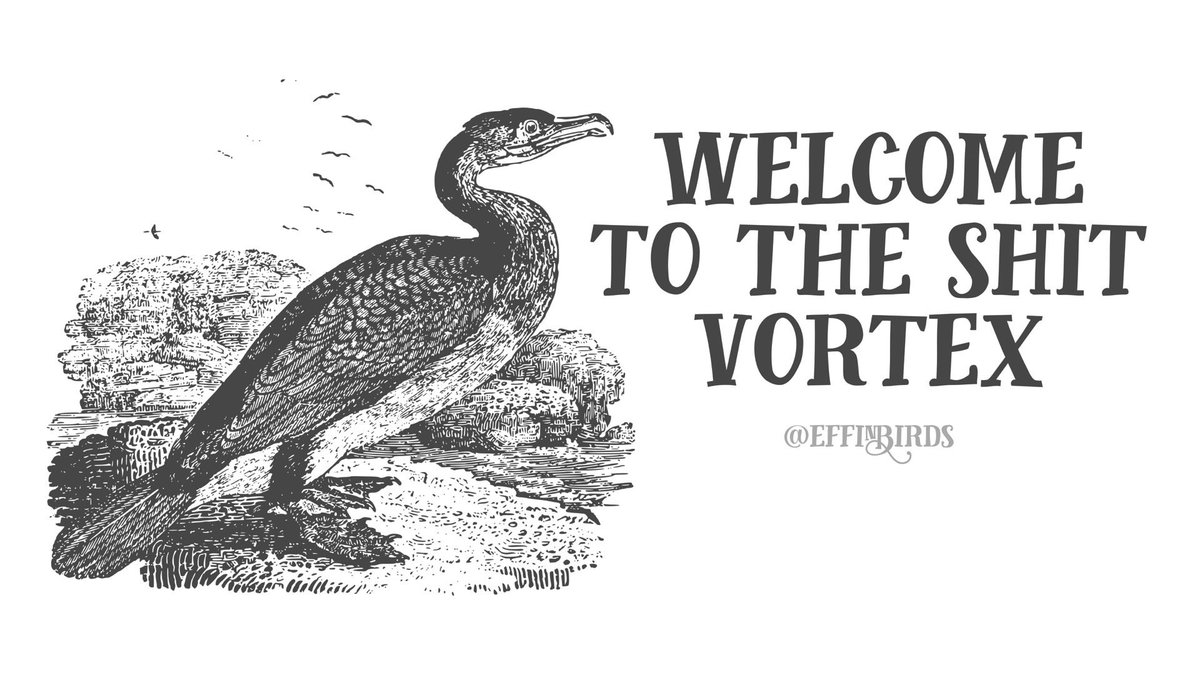 EffinBirds's tweet photo. https://t.co/bOHn2lgbNC