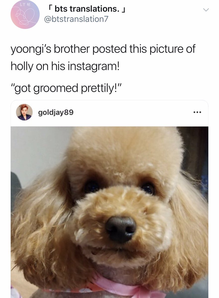 BTS Noonas tweet media