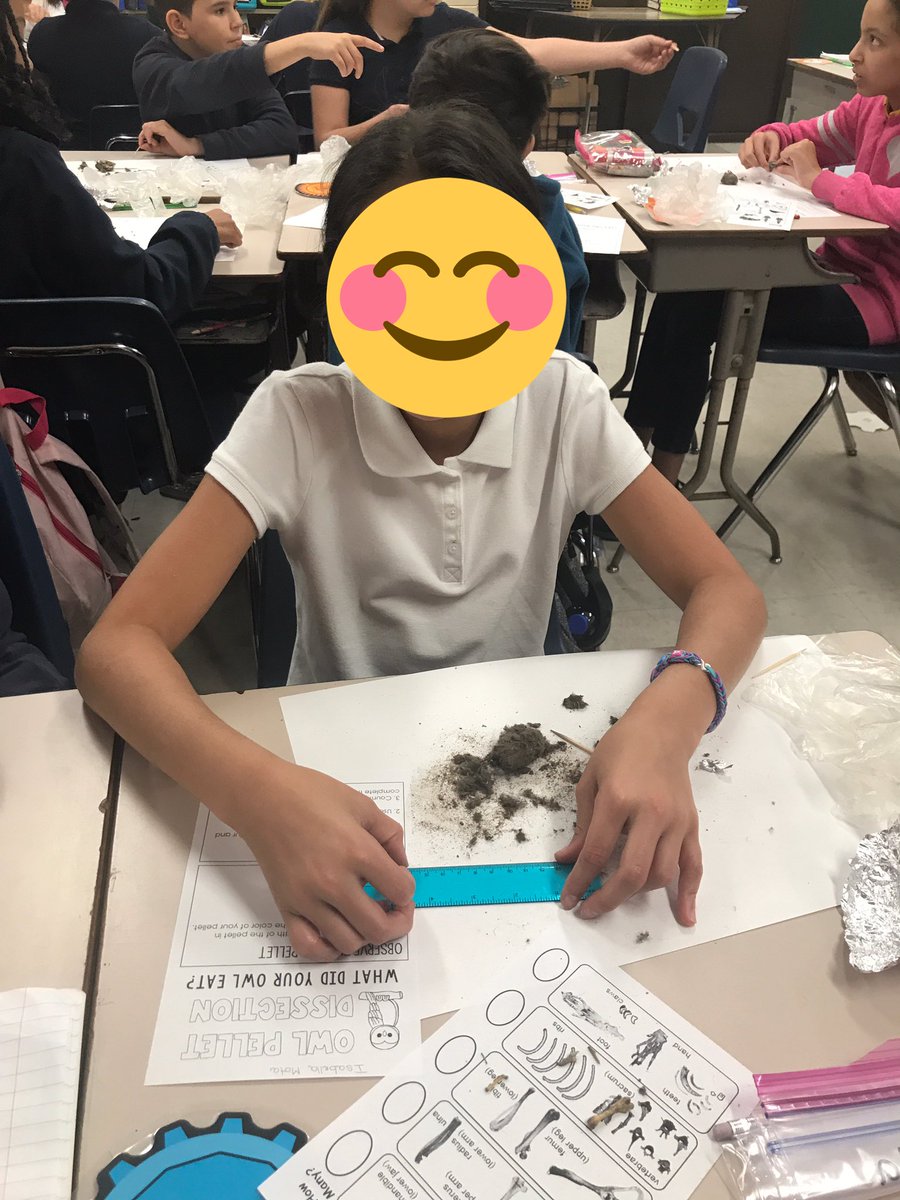 MrsReeves4th's tweet photo. Today we dissected owl 🦉 pellets. Thank you @Berbie01 for assisting us today! @MorganWoodsES #hcpsarea2 https://t.co/QmmUw7cIrZ