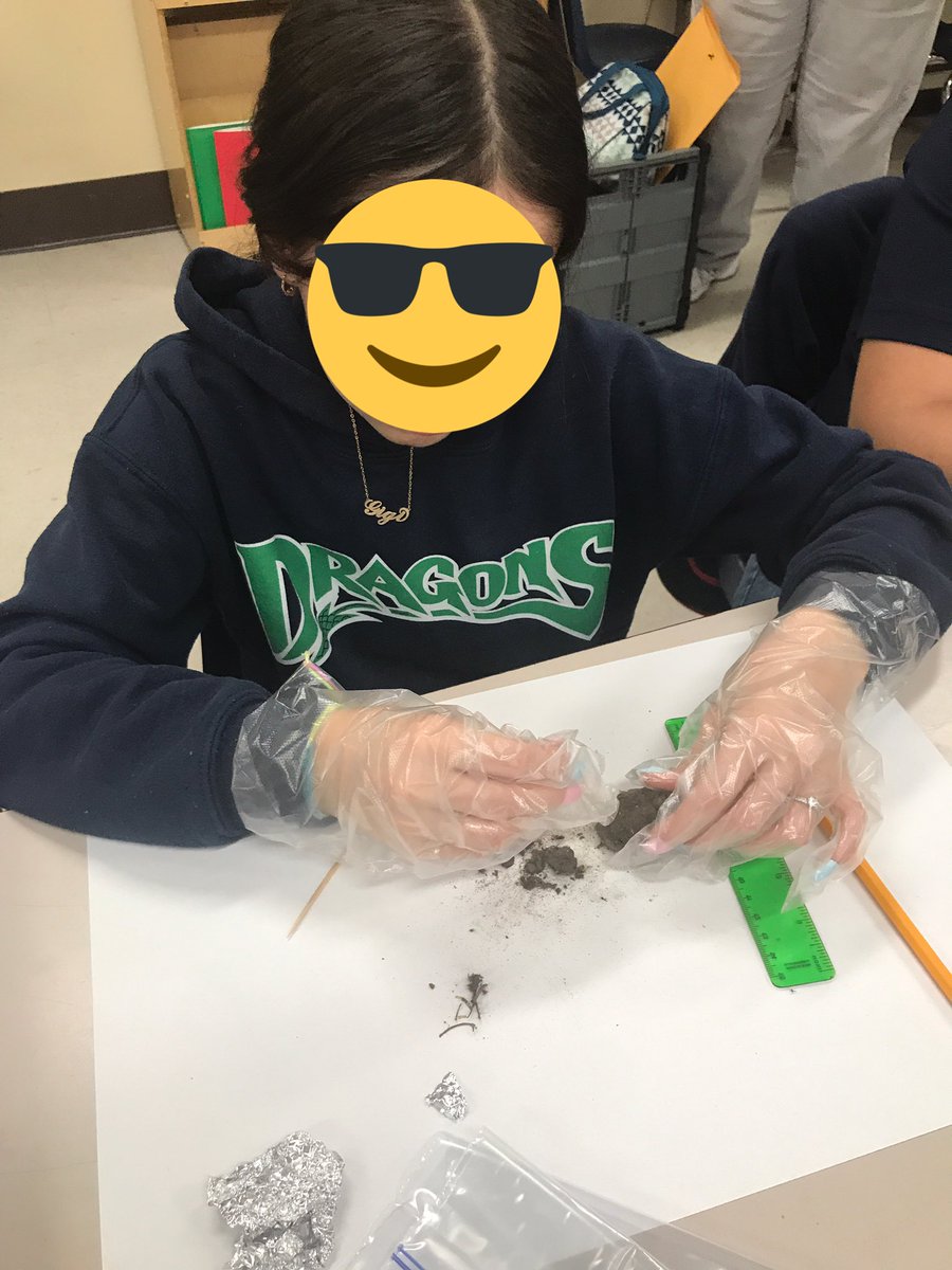 MrsReeves4th's tweet photo. Today we dissected owl 🦉 pellets. Thank you @Berbie01 for assisting us today! @MorganWoodsES #hcpsarea2 https://t.co/QmmUw7cIrZ