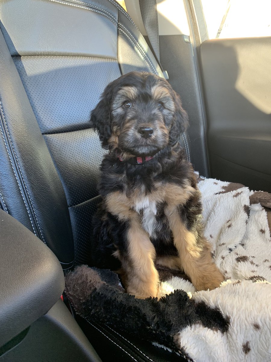 Madison Darden tweet media