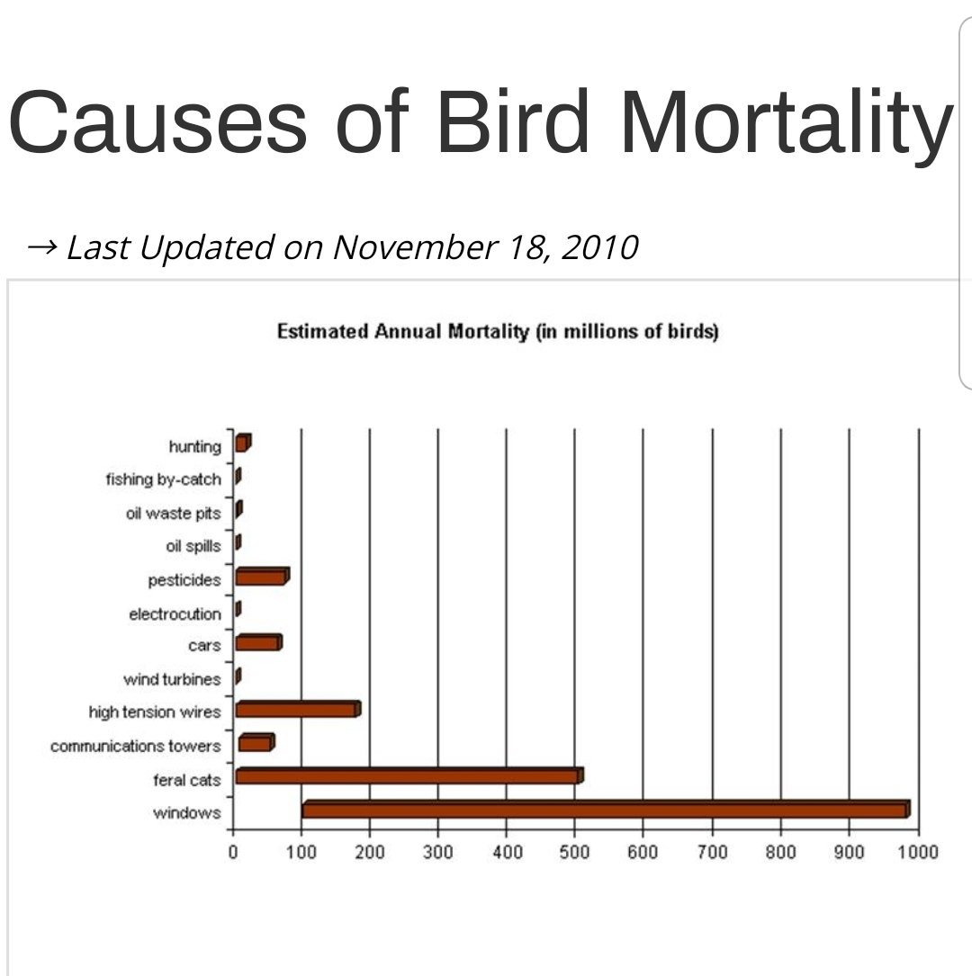 DrBeth_UWM's tweet image. You know what kills like a 1000 times more birds than wind turbines? Windows. Like windows in large highrise buildings. #peopleinglasshouses