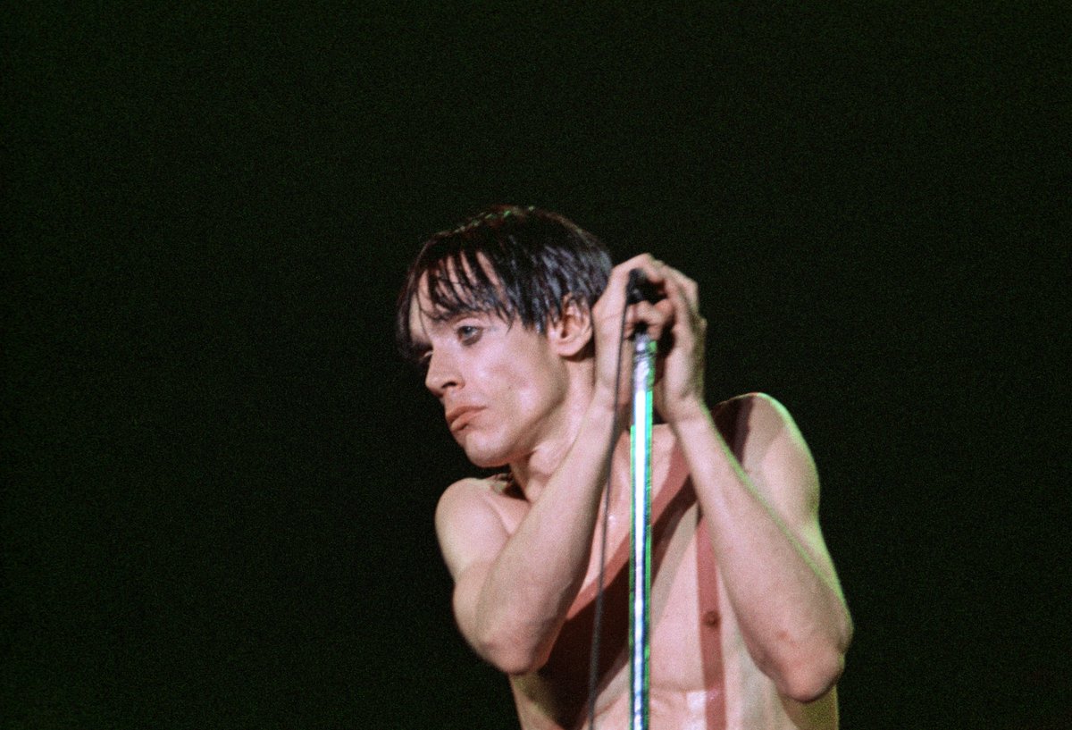 #tbt 1977 Iggy! Me trying to take pix like Mick Rock