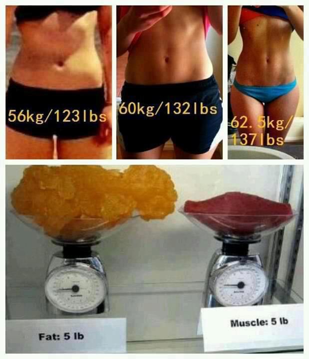 KickitwithKDuff's tweet photo. Weight same, composition different. Same as food. Calories may be equal, but one kind adds fat, as the other is burned for energy. There is no “one size fits all” diet! Link to free videos in bio ⤴️ Subscribe for a chance to win!
#weightloss #individualizednutrition #fatloss #eat https://t.co/OROjGsWahK