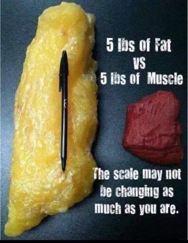 KickitwithKDuff's tweet photo. Weight same, composition different. Same as food. Calories may be equal, but one kind adds fat, as the other is burned for energy. There is no “one size fits all” diet! Link to free videos in bio ⤴️ Subscribe for a chance to win!
#weightloss #individualizednutrition #fatloss #eat https://t.co/OROjGsWahK