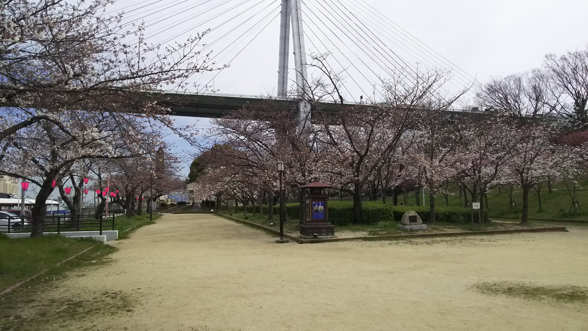 天保山公園の桜 天保山商店会 Tenpouzan0873 Twitter