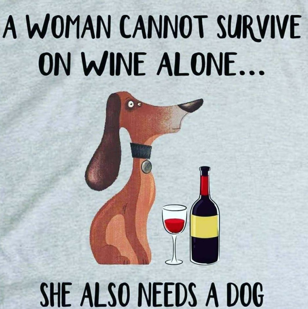 #winelover #wineoclock #doglovers  #canigetanamen