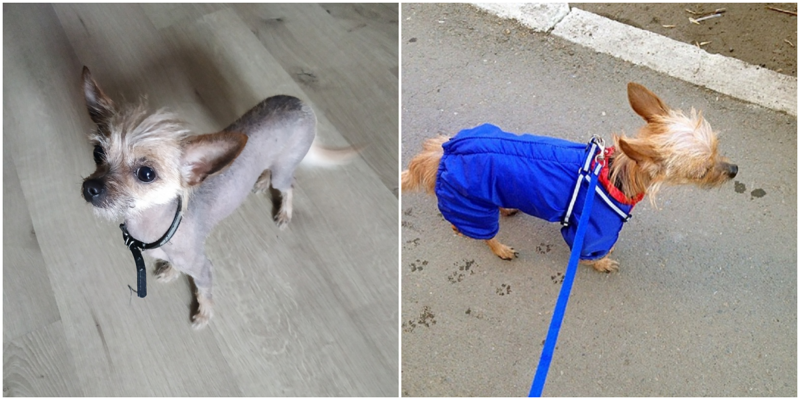 Fishki.Net tweet media