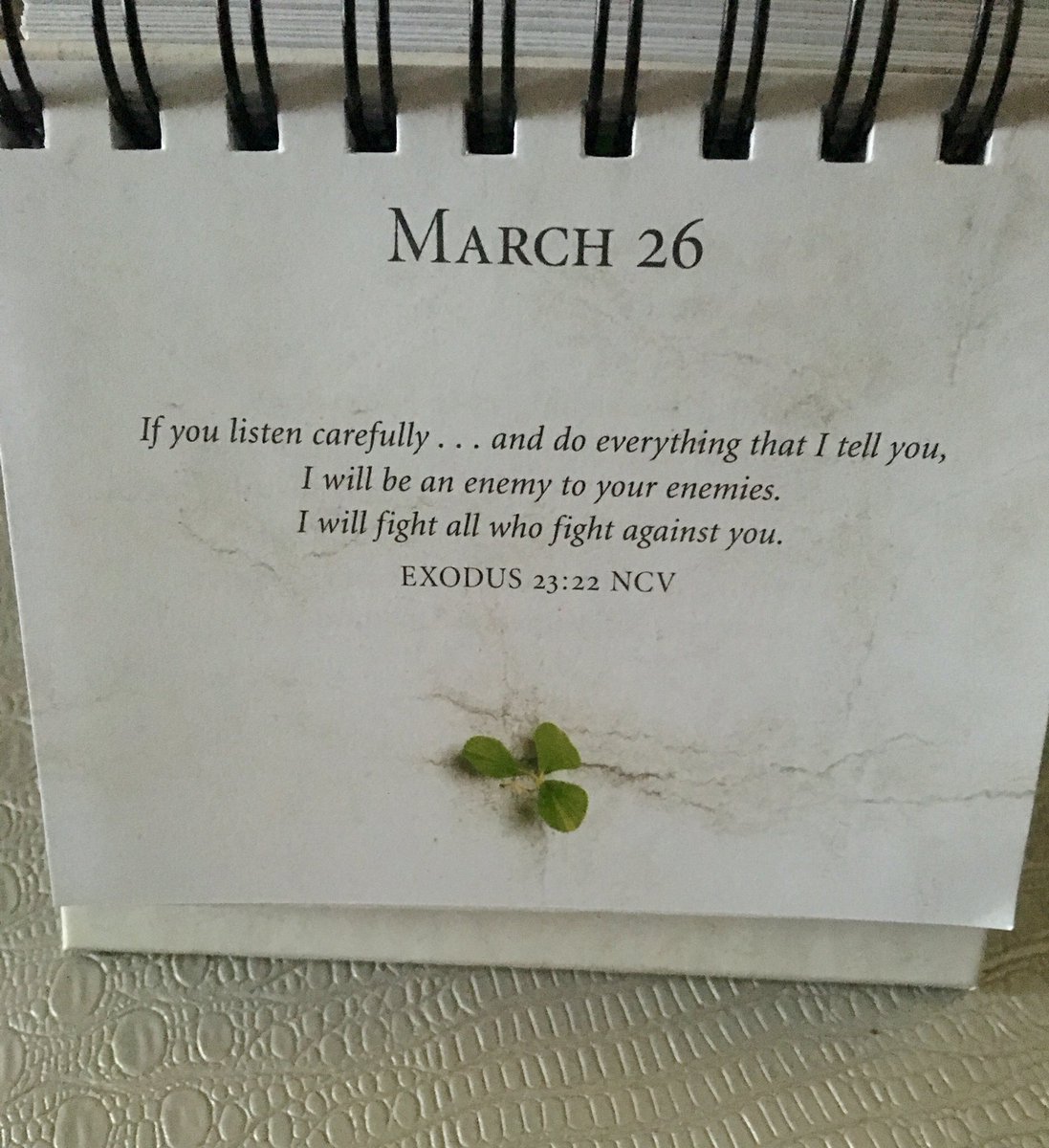 PINAYJD's tweet image. 03/26/1980 #Blessed #HighlyFavored