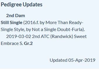 馬 Le Cheval♘♞ tweet media