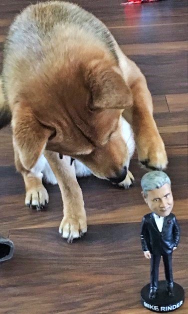 Here's to another SP (Suppressive Puppy)! #BobbleRinderPhotoContest #BobbleRinder #TheAftermathFoundation <a href="/MikeRinder/">Mike Rinder</a> <a href="/THESPSHOP1/">THE SP SHOP</a> <a href="/LeahRemini/">Leah Remini</a>