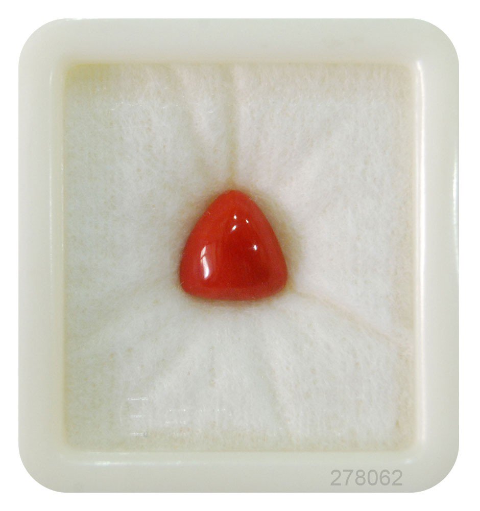 Certified Red Coral Premium 5+ 3.4ct
GIN: 11278062

9gem.us/coral-premium-…

#coral_stone #Moonga #gemstone #Motivation 

#fridayMotivation #coralgemstone #coralring #fashion