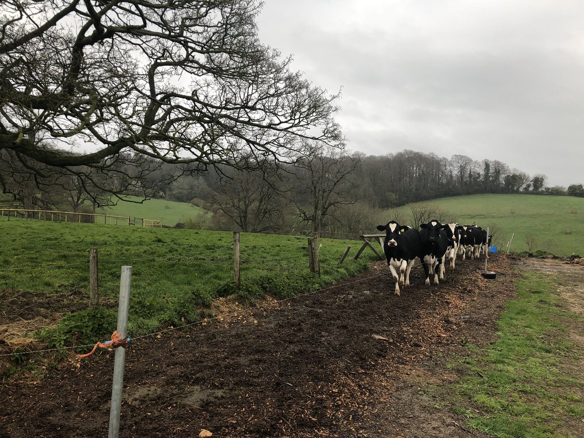 ParagonLiveLtd's tweet photo. Live from a Micro Dairy in Stroud for @BBCBreakfast with @JohnMag20 on a very blustery hill top. Learning about Raw Milk. @Strouddairy @LiveU #KA #LiveTV #OBvan #rawmilk https://t.co/wVVltv4B7V