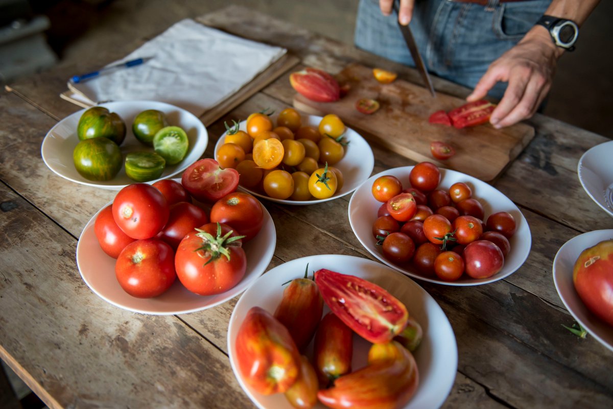 omki_research's tweet photo. 🍅 Tomato time! 🍅
Tasty, beautiful, healthy and last but not least landrace varieties. What makes landraces tomatoes so unique?
Read more here! 👉 https://t.co/g20hhqDKkb https://t.co/JZmzVHdy4R