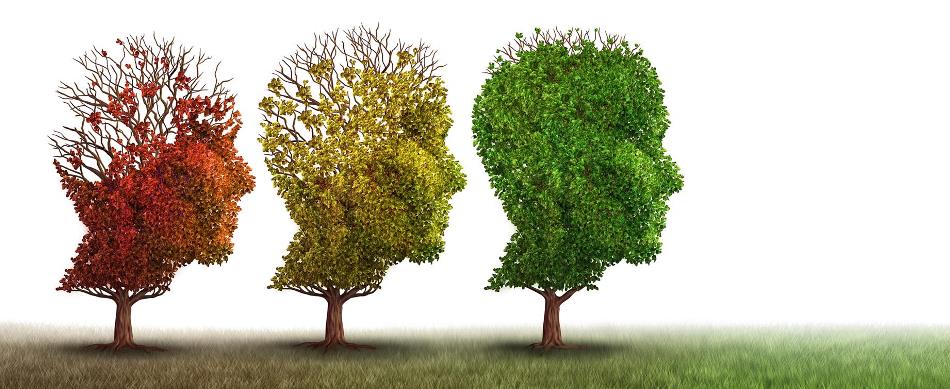 ES_ASUR's tweet photo. Nous avons le plaisir de vous informer qu'il reste de la place pour le cours : FC34-2019 APEx Acute Psychiatric Emergencies des 19 et 20 juin 2019.

Inscription :
A l'adresse suivante https://t.co/170lpnbSpw ou par le biais de notre application mobile ES ASUR. https://t.co/ysxM1nXrao