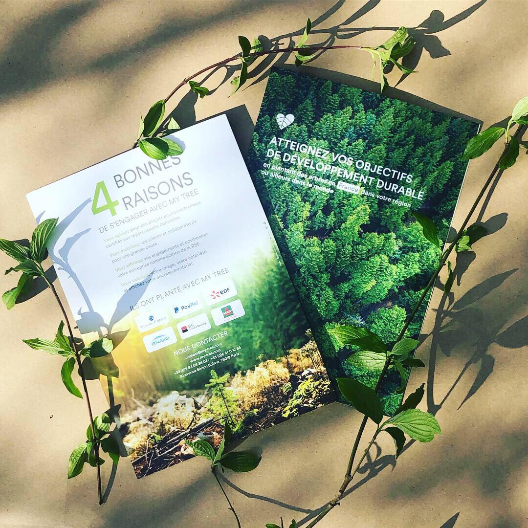 COMOPRINT's tweet image. Soucieux de notre impact environnemental, nous avons choisi de nous associer à MyTree pour offrir un arbre à planter pour chaque commande ! 🌳

my-tree.com

#mytree #imprimerie #plantonspourlaplanete #developpementdurable #climat #biodiversité #écosystème #ecologie