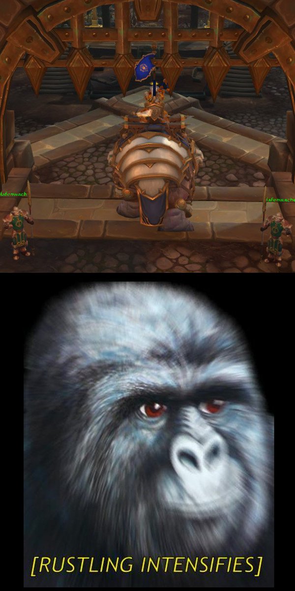 NicaraoGaming's tweet image. I am not the only one, right? #Warcraft #Meme #GatedContent