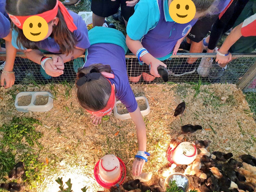 Mrs__Bonilla's tweet photo. We had a fantastic day at Camden Show! So much to see, do, and explore.  @PsElderslie https://t.co/C8q8hxfyfs