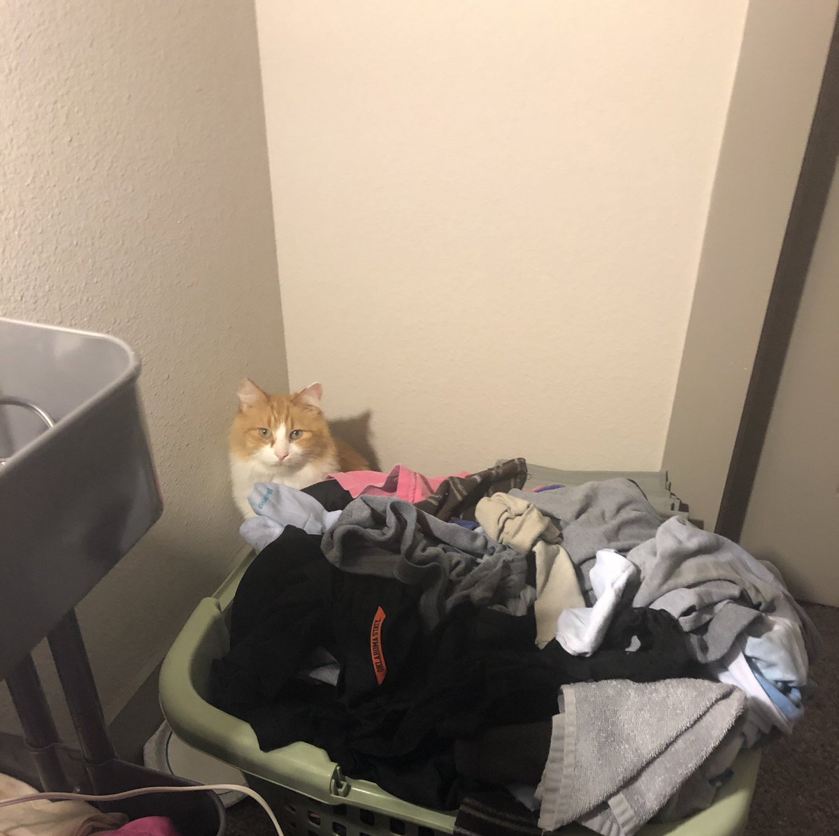 Max will always look over you while you’re sleeping. It’s not creepy or anything. #alwayswatching #lookoutSanta #maximusjames