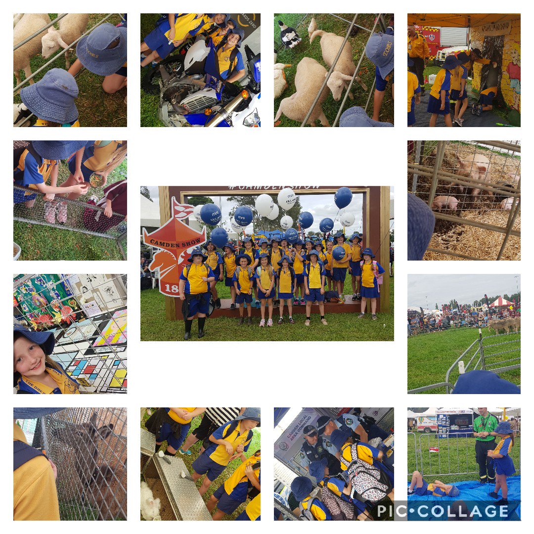 Kelly Grieve tweet media