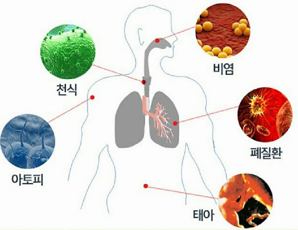 um2min's tweet photo. #공기청정기 #미세먼지 #천식 #아토피 #비염 #��질환 #기관지 #진드기 #황사 #냄새 #음식냄새 #태아 #애완동물비듬 
유해물질을 99.97% 정화하는 놀라운 성능!
집안에 사용되는 공기청정기 성능을 제작사에 요청해서 눈으로
확인 하심이 가족의 건강을 지킬수 있습니다.
https://t.co/DhvxMgIMDb https://t.co/vEc4brUoyz
