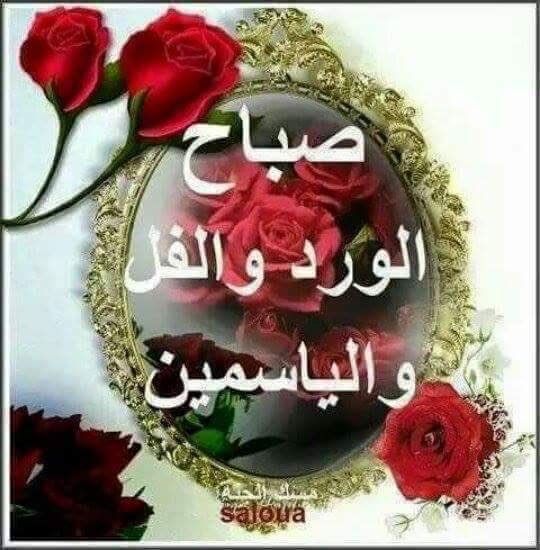 <a href="/hussainmiale6/">حسين</a> صباحووو حسين🌷🌹