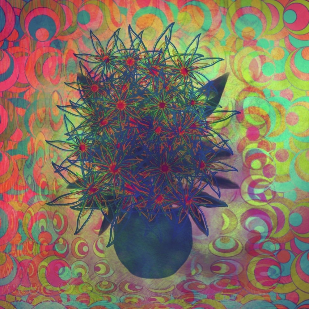 TreeHughes's tweet photo. "Flowers in Vase #45"
#painting #digital #flower #drawing #art #artwork #flowers #doodle #disabilityartist https://t.co/sq25odjJzD