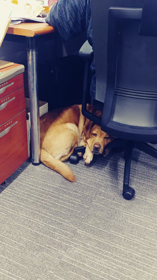 미...미르야 너 왜 여기서 그렇게 자고 이써...?🙄 
~제보 감사합니다~