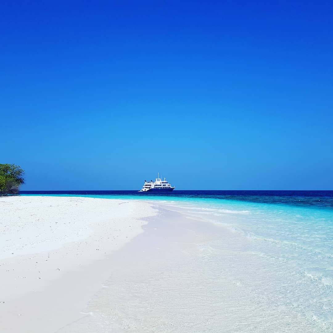 greypcarter's tweet photo. This week we are on board the @yasawa_princess small #cruise ship island hopping through the #maldives what a great way to snorkel in turqoise water teaming with fish, lunch on beautiful secluded islands &amp; see a different destination each day #travel #cruising #yasawaprincess https://t.co/f087zZoJ5Z