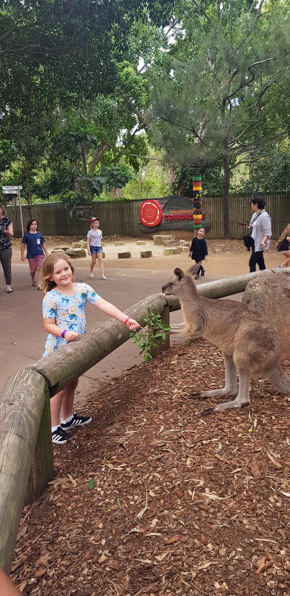 What an amazing experience!! @Dreamworld_AU #kids #kangaroos #holidays #familytime <a href="/Ledgerous/">Leslie Leahy</a>